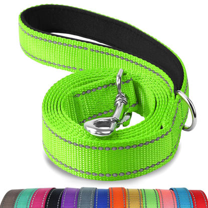 Picture of Joytale Double-Sided Reflective Dog Leash, 6 FT/5 FT/4 FT, Padded Handle Nylon Dogs Leashes for Small & Medium Dogs Walking, Green, 4FT