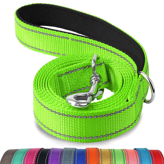 Picture of Joytale Double-Sided Reflective Dog Leash, 6 FT/5 FT/4 FT, Padded Handle Nylon Dogs Leashes for Small & Medium Dogs Walking, Green, 4FT