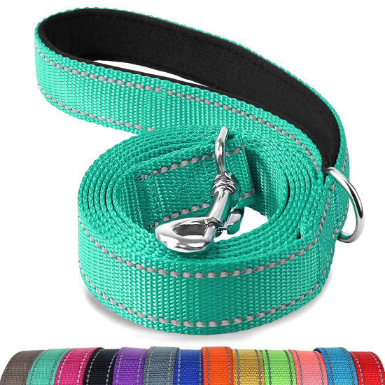 Picture of Joytale Double-Sided Reflective Dog Leash, 6 FT/5 FT/4 FT, Padded Handle Nylon Dogs Leashes for Small & Medium Dogs Walking, Teal, 4FT