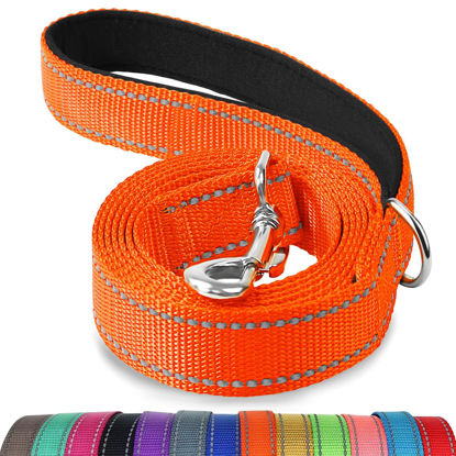 Picture of Joytale Double-Sided Reflective Dog Leash, 6 FT/5 FT/4 FT, Padded Handle Nylon Dogs Leashes for Small & Medium Dogs Walking, Orange, 4FT