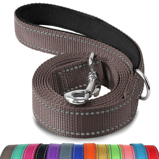 Picture of Joytale Double-Sided Reflective Dog Leash Heavy Duty, 6 FT/5 FT/4 FT, Padded Handle Nylon Dogs Leashes for Small & Medium Dogs Walking, Brown, 4FT