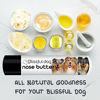 Picture of The Blissful Dog Collie Nose Butter - Dog Nose Butter, 0.15 Ounce