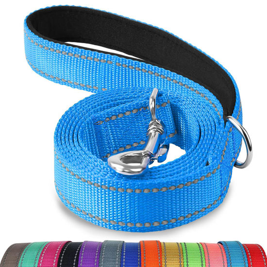 Picture of Joytale Double-Sided Reflective Dog Leash, 6 FT/5 FT/4 FT, Padded Handle Nylon Dogs Leashes for Medium & Large Dogs Walking, Sky Blue, 4FT