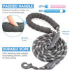 Picture of BAAPET 2/4/5/6 FT Dog Leash with Comfortable Padded Handle and Highly Reflective Threads for Small Medium and Large Dogs (5FT-1/2'', Black)