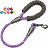 Picture of BAAPET 2/4/5/6 FT Dog Leash with Comfortable Padded Handle and Highly Reflective Threads for Small Medium and Large Dogs (2FT-1/2'', Purple)