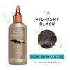 Picture of Clairol Professional Beautiful Advanced Gray Solutions 1a Midnight Black, 3 oz