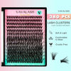 Picture of VAVALASH DIY Lash Extensions Kit Individual Cluster Lashes Kit with 280 PCS 40D-0.07-D-9-16mm Lash Clusters, Lash Bond and Seal, Lash Applicator for DIY Eyelash Extensions at Home（Kit-40D-D-9-16MIX)