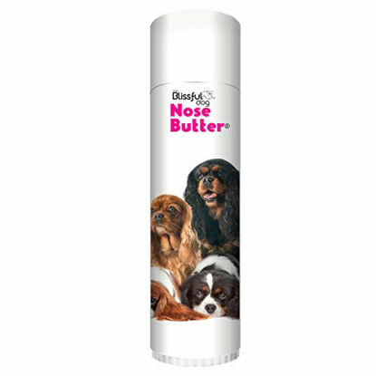 Picture of The Blissful Dog Cavalier King Charles Spaniel Nose Butter - Dog Nose Butter, 0.50 Ounce