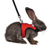 Picture of Niteangel Adjustable Soft Harness with Elastic Leash for Rabbits (M, Red)