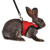 Picture of Niteangel Adjustable Soft Harness with Elastic Leash for Rabbits (M, Red)