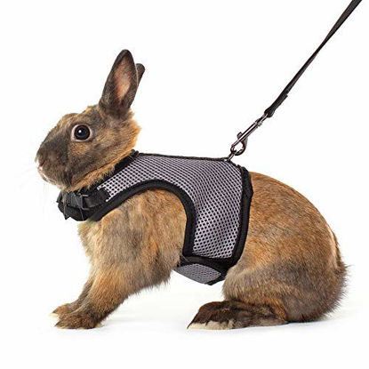 Picture of Niteangel Adjustable Soft Harness with Elastic Leash for Rabbits (M, Grey)