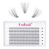 Picture of Cluster Lashes 10D 20D 30D 40D Individual Lashes D Curl Lash Clusters Mink Lashes Individual Lash Extensions Eyelash Clusters Lash Extension Supplies (10D-0.07D, 12mm)