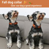 Picture of ARING PET Fall Dog Collar-Cute Orange Dog Collar for Small Dogs, Cotton Lightweight Dog Collars with Quick Release Buckle for Small Medium Large Dogs