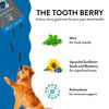 Picture of Shameless Pets Dental Treats for Dogs, The Tooth Berry - Healthy Dental Sticks with Immune Support for Teeth Cleaning & Fresh Breath - Dog Bones Dental Chews Free from Grain, Corn & Soy