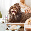 Picture of The Blissful Dog Havanese Nose Butter - Dog Nose Butter, 0.50 Ounce