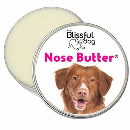 Picture of The Blissful Dog Nova Scotia Duck Tolling Retriever Nose Butter - Dog Nose Butter, 1 Ounce