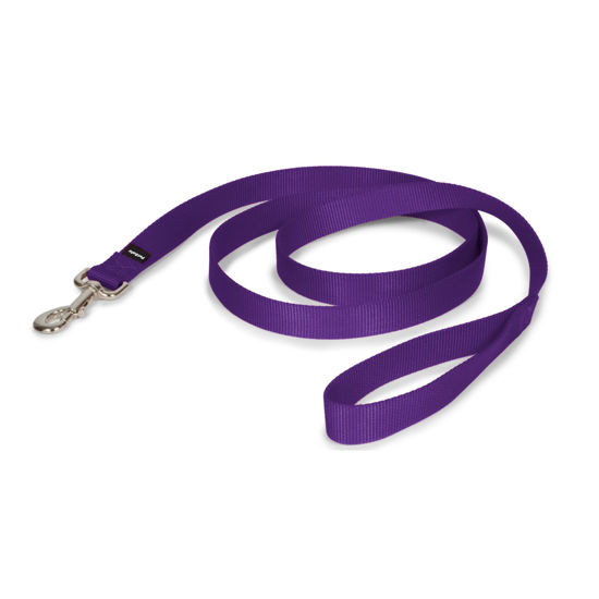 Picture of PetSafe Nylon Dog Leash - Strong, Durable, Traditional Style Leash with Easy to Use Bolt Snap - 1 in. x 6 ft., Deep Purple