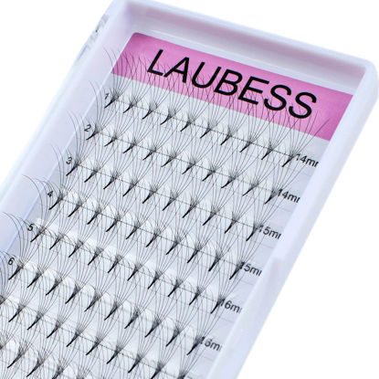 Picture of Volume Lash Extensions Premade Lash Fans 5D 6D 8D 10D 12D 14D 20D Premade Fans Eyelash Extensions Pointed Base Pre Fanned Volume Eyelash Extensions (6D-0.07D-9-16mm)