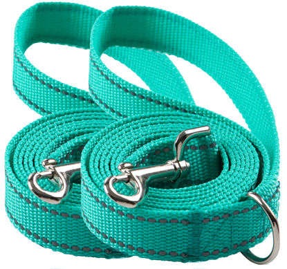 Picture of OEFEO 2-Pack 6FT Reflective Dog Leash for Large&Medium and Small Dogs, Durable Nylon Leashes for Walking and Training, 6 Foot Dog Leash with D Ring for Puppy,5/8 inch X 6FT(Turquoise, 2-Pack)