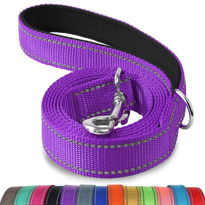 Picture of Joytale Double-Sided Reflective Dog Leash, 6 FT/5 FT/4 FT, Padded Handle Nylon Dogs Leashes for Medium & Large Dogs Walking, Purple, 4FT