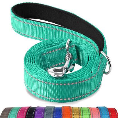 Picture of Joytale Double-Sided Reflective Dog Leash, 6 FT/5 FT/4 FT, Padded Handle Nylon Dogs Leashes for Small & Medium Dogs Walking, Teal, 6FT