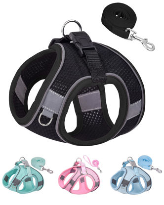 Picture of Solmoony Dog Harness for Small Medium Dogs No Pull, Puppy Harness and Leash Set, Puppy Harness for Small Dogs, Step in Harness for Small Dogs, Small Dog Harness, mesh Dog Harness. (Black, XXS)