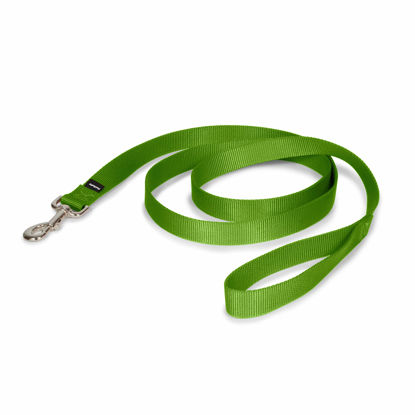 Picture of PetSafe Nylon Dog Leash - Strong, Durable, Traditional Style Leash with Easy to Use Bolt Snap - 1 in. x 6 ft., Apple Green