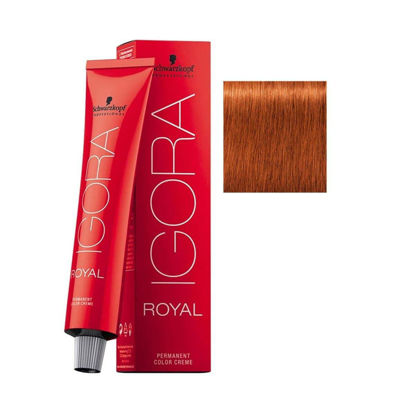 Picture of Schwarzkopf Igora Royal Hair Color Creme 7-77 Medium Blonde Copper Extra 60 ML