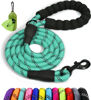 Picture of Taglory Rope Dog Leash 5 FT with Comfortable Padded Handle, Highly Reflective Threads Dog Leash for Small Dogs, 3/8 inch, Turquoise