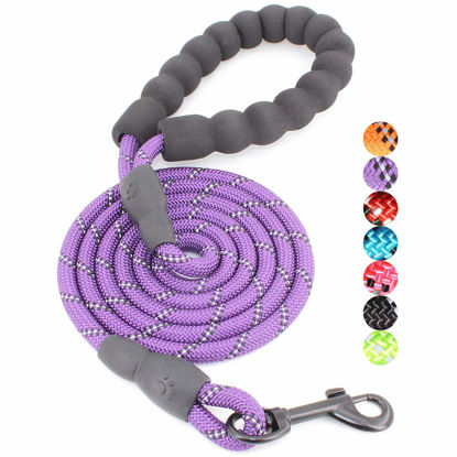 Picture of BAAPET 2/4/5/6 FT Dog Leash with Comfortable Padded Handle and Highly Reflective Threads for Small Medium and Large Dogs (5FT-1/3'', Purple)