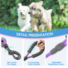 Picture of BAAPET 2/4/5/6 FT Dog Leash with Comfortable Padded Handle and Highly Reflective Threads for Small Medium and Large Dogs (5FT-1/3'', Purple)