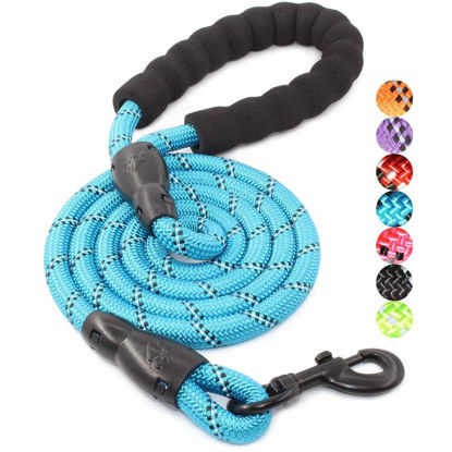 Picture of BAAPET 2/4/5/6 FT Dog Leash with Comfortable Padded Handle and Highly Reflective Threads for Small Medium and Large Dogs (5FT-1/2'', Blue)