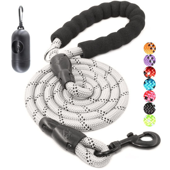 Picture of BAAPET 2/4/5/6 FT Dog Leash with Comfortable Padded Handle and Highly Reflective Threads for Small Medium and Large Dogs (4FT-1/2'', Silver)