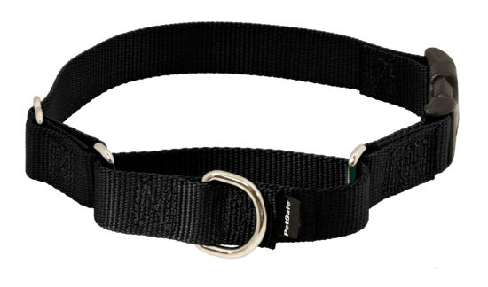 Picture of PetSafe Martingale Dog Collar with Quick-Snap Buckle - Medium, 3/4 Inch, Black