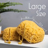 Picture of myHomeBody Bath Sponge, Foam Loofah Sponge, Body Sponge for Shower - Large Size, Lots of Lather, Curvy, 2 Pack