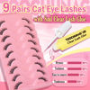 Picture of Half Lashes Wispy False Eyelashes with 8ml Clear Lash Glue 12mm Natural Cat Eye Lashes with Clear Band 9 Pairs D Curl Fluffy Fake Eyelashes by TOOCHUNAG