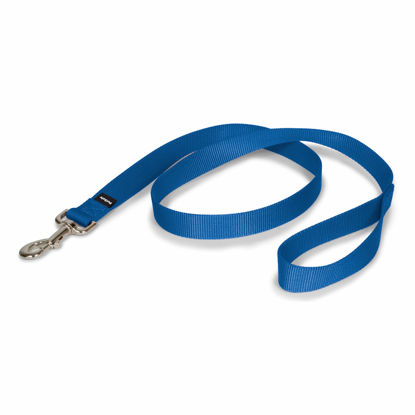 Picture of PetSafe Nylon Dog Leash - Strong, Durable, Traditional Style Leash with Easy to Use Bolt Snap - 1 in. x 4 ft., Royal Blue