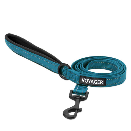 Picture of Voyager Reflective Dog Leash with Neoprene Handle, 5ft Long, Supports Small, Medium, and Large Breed Puppies, Cute and Heavy Duty for Walking, Running, and Training - Turquoise (Leash), M