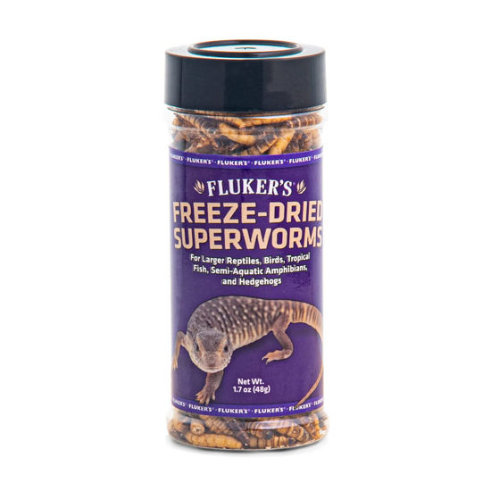 Picture of Fluker's Freeze Dried Superworms for Reptiles - 1.7oz