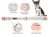 Picture of Unique style paws Dog Collar Metal Buckle Collar Gift for Small Medium Large Boys Girls Dogs