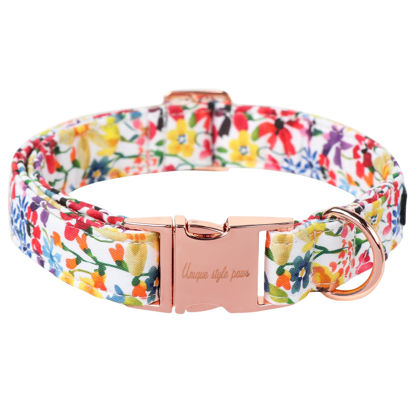 Picture of Unique style paws Dog Collar Metal Buckle Collar Gift for Small Medium Large Boys Girls Dogs