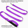 Picture of Joytale Double-Sided Reflective Dog Leash, 6 FT/5 FT/4 FT, Padded Handle Nylon Dogs Leashes for Small & Medium Dogs Walking, Purple, 6FT