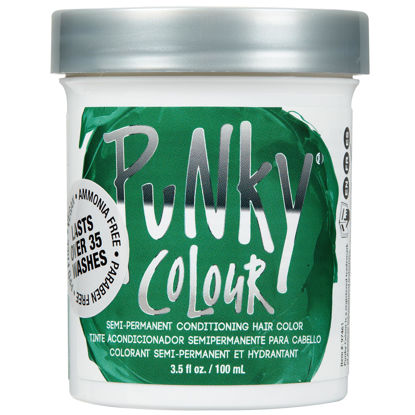 Picture of Punky Alpine Green Semi Permanent Conditioning Hair Color, 3.5oz