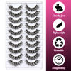 Picture of Veleasha Lashes Russian Strip Lashes Eyelashes with Clear Band Looks Like Eyelash Extensions D Curl Lash Strips 10 Pairs Pack (DT01)