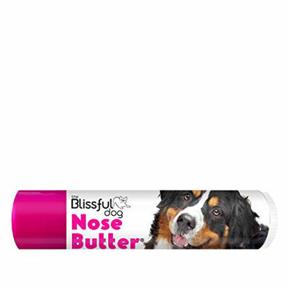 Picture of The Blissful Dog Bernese Mountain Nose Butter - Dog Nose Butter, 0.15 Ounce