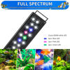 Picture of AQUANEAT LED Aquarium Light Full Spectrum for 12 Inch to 16 Inch Fish Tank Light Fresh Water Light Multi-Color