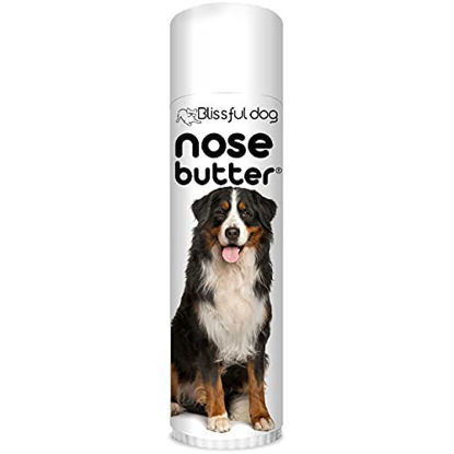 Picture of The Blissful Dog Bernese Mountain Nose Butter - Dog Nose Butter, 0.50 Ounce