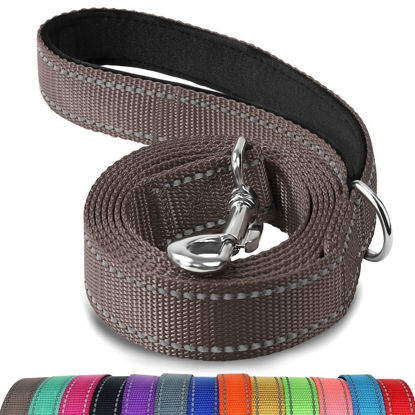 Picture of Joytale Double-Sided Reflective Dog Leash Heavy Duty,6 FT/5 FT/4 FT, Padded Handle Nylon Dogs Leashes for Small & Medium Dogs Walking, Brown, 5FT