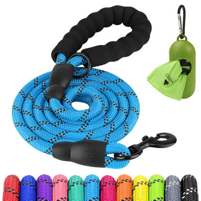 Picture of Joytale 6/5/4 FT Leashes for Small Medium Breed Dogs, Heavy Duty Nylon Braided Rope Dog Leash, Comfortable Padded Handle Strong Leashes with Poop Bags and Dispenser, SkyBlue, 6'×3/8''