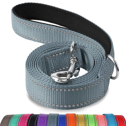 Picture of Joytale Double-Sided Reflective Dog Leash, 6 FT/5 FT/4 FT, Padded Handle Nylon Dogs Leashes for Medium & Large Dogs Walking, Gray, 5FT